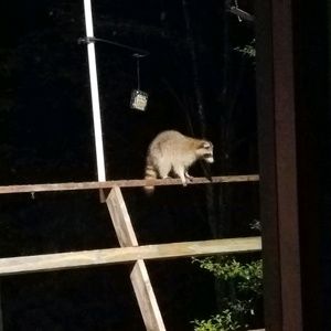 Meet your Posher, Nichole